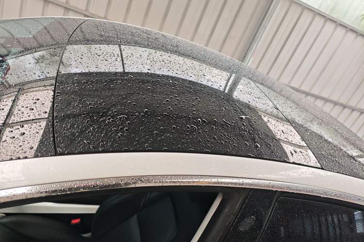 Used Tesla Model 3 2019 Standard Range Rear-Drive Upgraded Version
