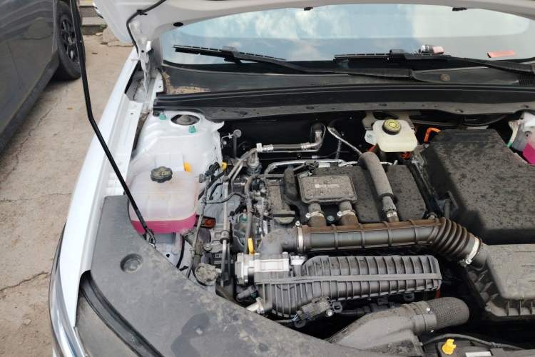 Used BYD Qin PLUS 
