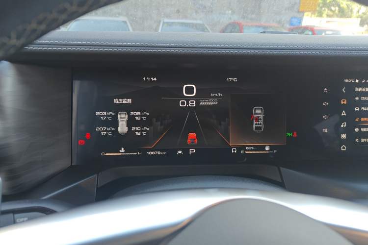 Used Tank 300 2024 2.0T Conqueror