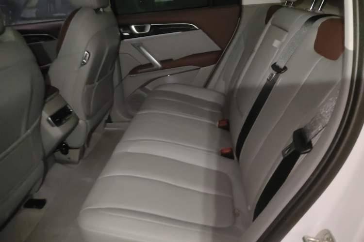 Used Baojun RS-5 2019 1.5T CVT Intelligent Driving Flagship Version China VI Emission Standard
