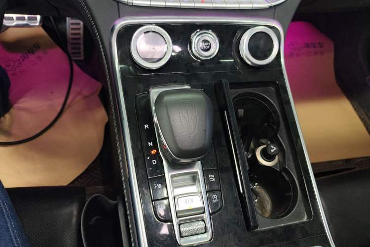 Used Hongqi H9 2020 3.0T Smart Connect Flagship Four-Seat Version