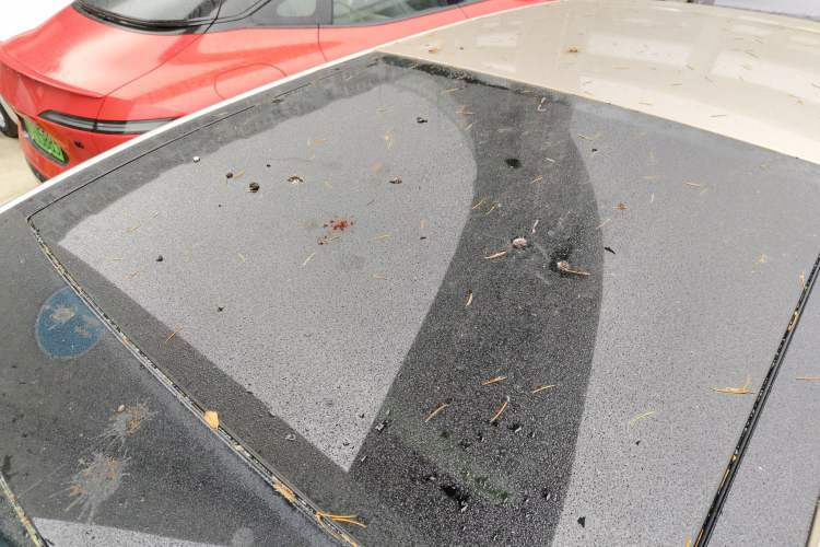 Used Volkswagen Golf 2016 230TSI Automatic Luxury Version