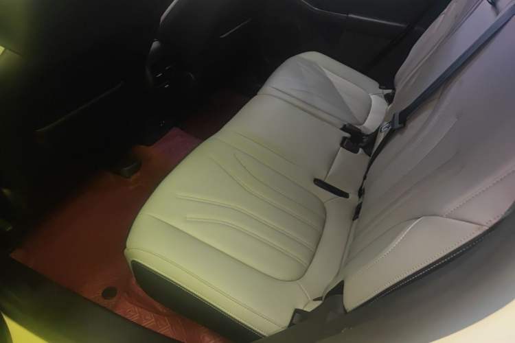 Used Ford Escape 2020 EcoBoost 245 Two-Wheel-Drive Comfort Edition Left Rear Seat