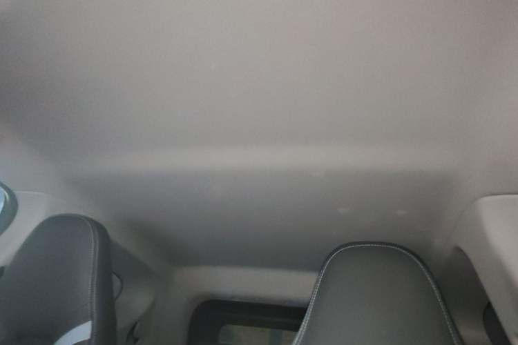 Used Chery New Energy Boundless Pro 2022 301km LingShou Edition Lithium Iron Phosphate Headliner