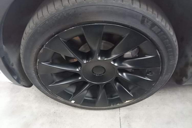 Used Tesla Model Y 2022 Revised Version Long-Range All-Wheel Drive