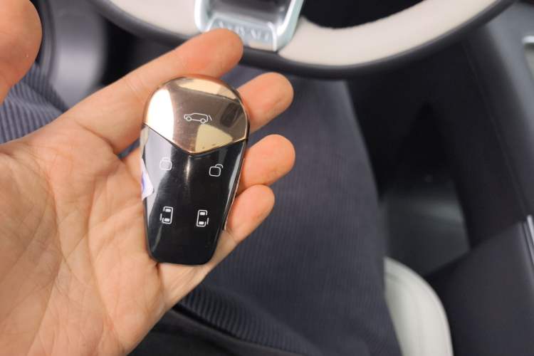 Used VOYAH Dream 2025 PHEV Four-Wheel-Drive Flagship Kunpeng Edition