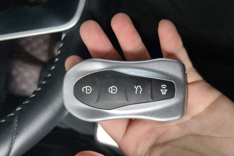 Used Geely Auto Monjaro New Energy 2019 400T YAOXINGER Pure Electric Range 56 km
