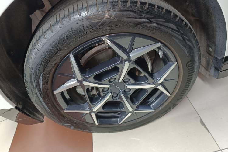 Used Lynk & Co Z20 2025 530 km Range Rear-Wheel Drive Max