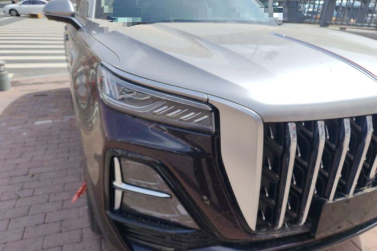 Used Hongqi HS5 2023 2.0T Four-Wheel Drive Flagship Pro Edition
