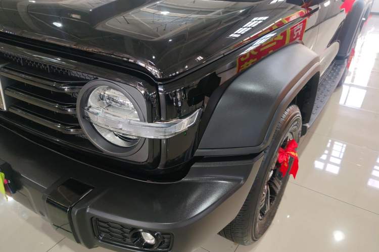 Used Tank 300 2024 2.0T Conqueror
