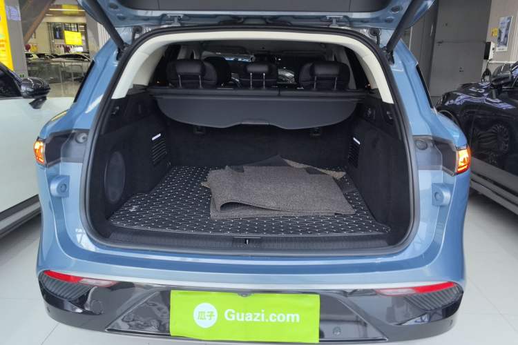 Used VOYAH FREE 2021 Four-Wheel Drive Standard Range-Extended Exclusive Luxury Package
