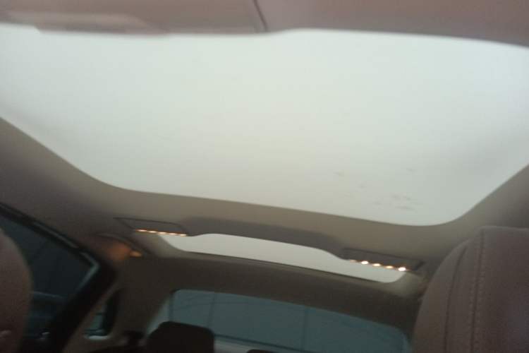 Used Mercedes-Benz E-Class 2020 E 300 L Luxury Model Headliner