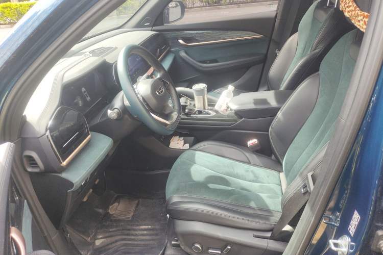 Used Geely Auto Monjaro L 2021 2.0TD DCT EVO Two-Wheel Drive Smart Luxury Version Left Front Seat