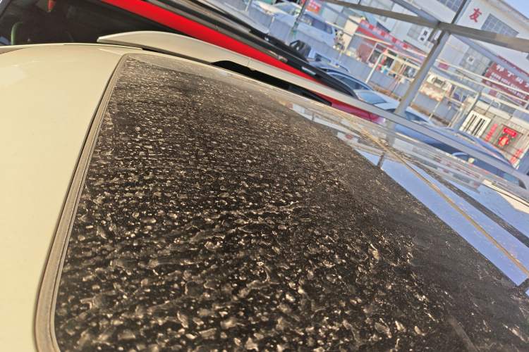 Used Nissan X-Trail 2019 2.0L CVT Comfort Edition 2WD Roof