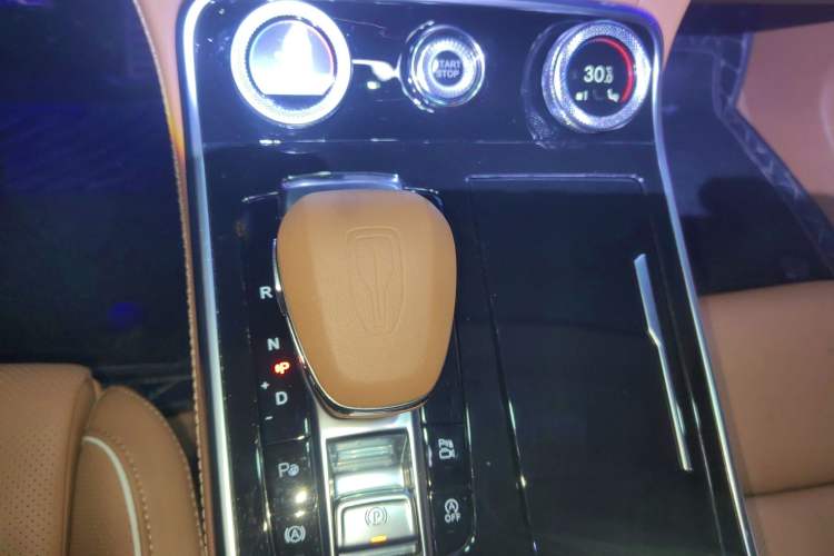 Used Hongqi H9 2020 3.0T Smart Connect Flagship Edition