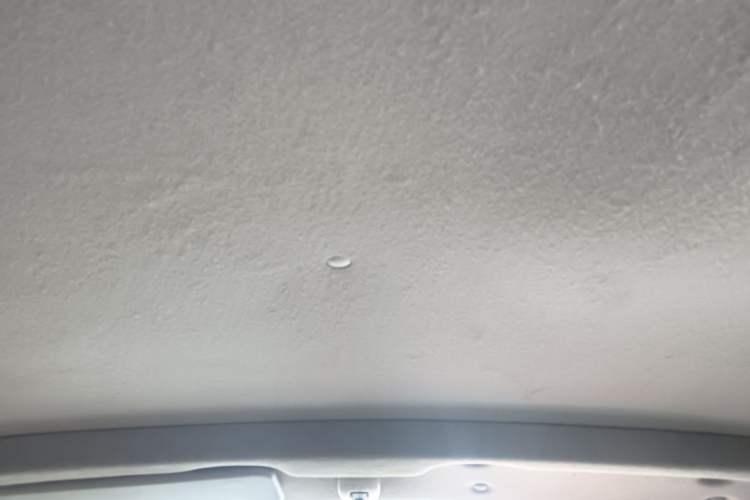 Used Jinbei Grace 2016 2.0L Express Utility Model Headliner