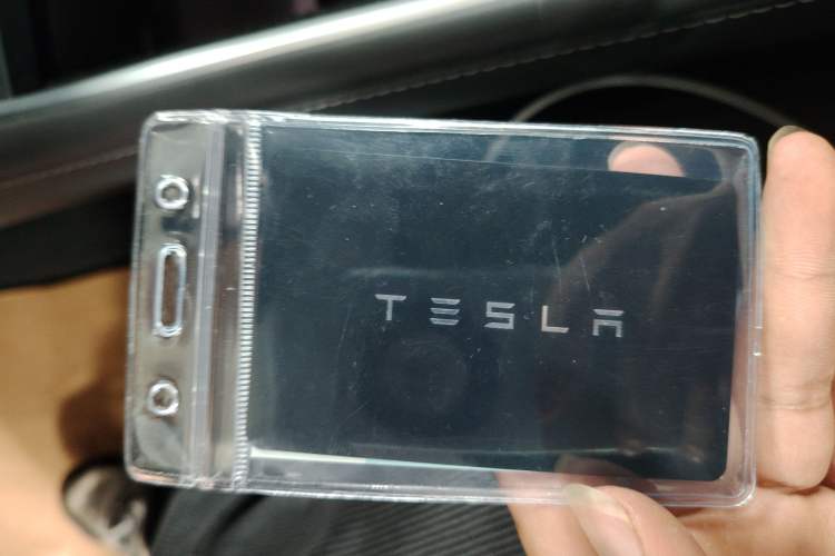 Used Tesla Model Y 2021 Standard Range Rear-Wheel Drive Version
