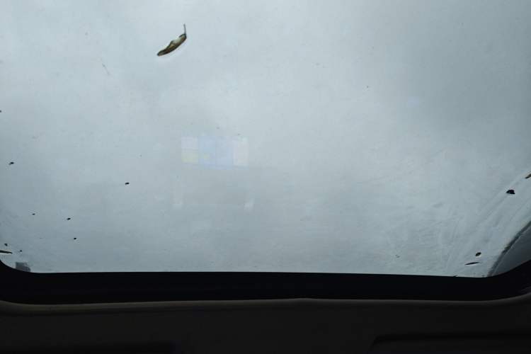 Used Nissan X-Trail 2010 2.5L CVT Flagship Edition 4WD Headliner