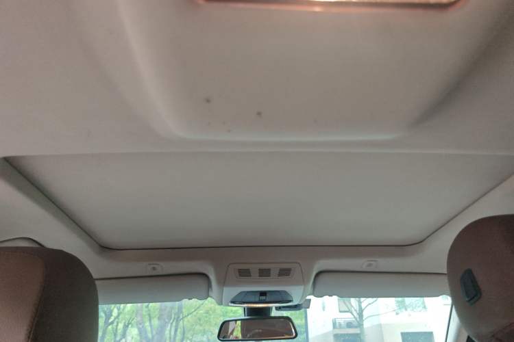 Used BMW 5 Series 2014 520Li Elegant Model Headliner