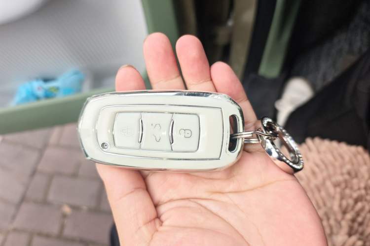 Used Geely Galaxy Panda 2025 210km Panda Rider