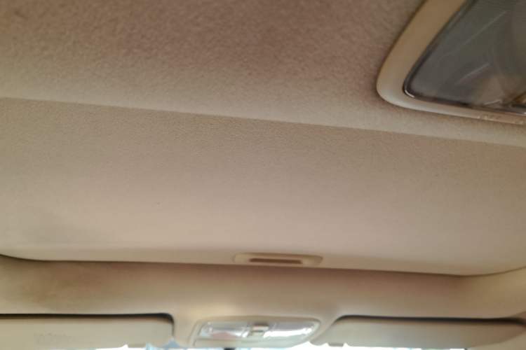 Used Hyundai Celesta 2010 1.6L AT GLS
