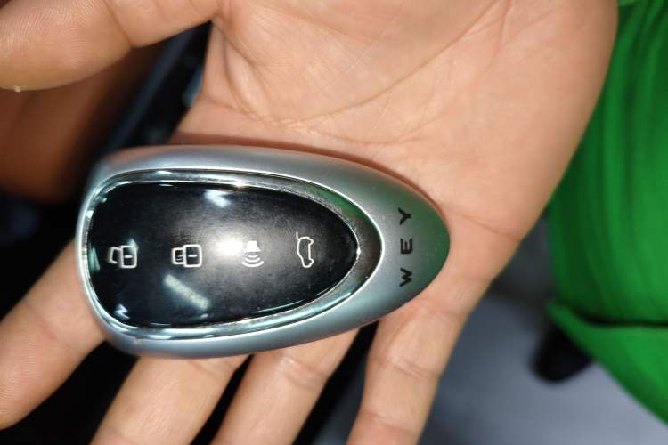 Used Wey Lanshan 2025 Four-Wheel Drive Ultra