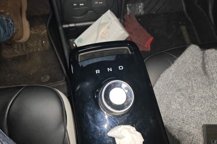 Used Geometry E Firefly 2023 401KM Linglong Tiger 5-Seater Custom Edition
