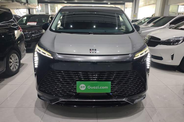 Used Buick Century 2023 2.0T Four-Seat Private Edition
