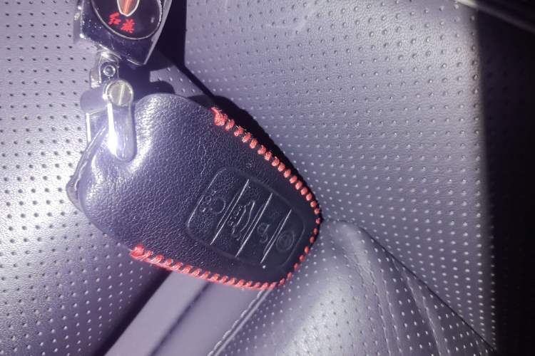 Used Hongqi H9 2020 2.0T Smart Connect Flagship Edition