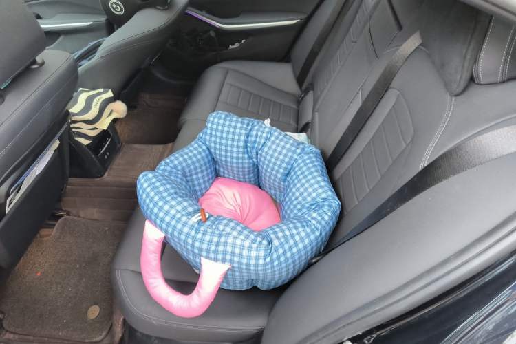 Used BMW 3 Series 2021 325Li M Sport Shadowline Package
