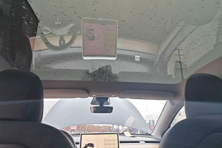 Used Tesla Model Y 2022 Rear-Wheel-Drive Version
