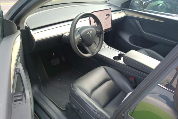 Used Tesla Model Y 2021 Standard Range Rear-Wheel Drive Version
