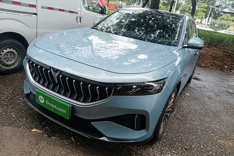 Used VOYAH FREE 2021 Two-Wheel Drive Standard Pure Electric City Edition