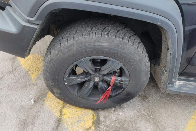 Used Tank 300 2024 2.0T Conqueror
