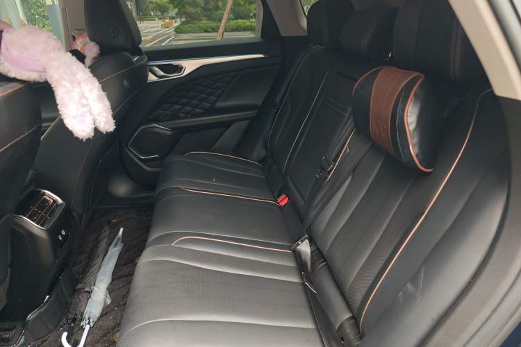 Used Wey Mocha 2021 2.0T Two-Wheel-Drive Ultra-Strong Version Left Rear Seat