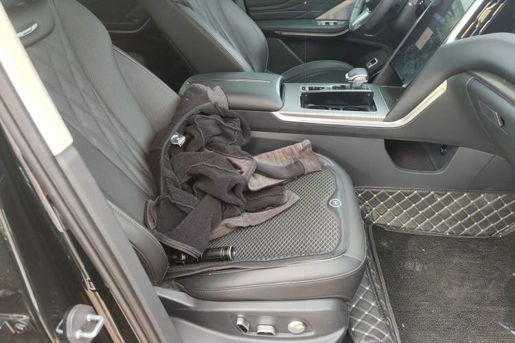 Used Hongqi HS7 PHEV 2024 2.0T PHEV Four-Wheel Drive Flagship Edition 6 Seats Right Front Seat