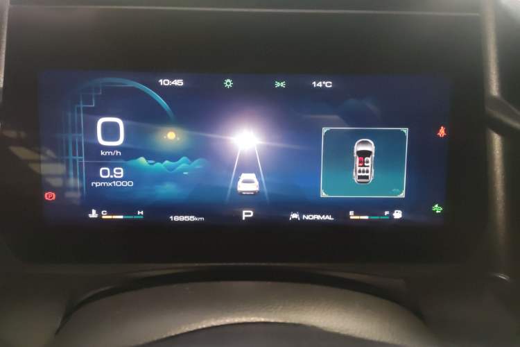 Used Haval DARGO 2024 2.0T DCT Chinese Rural Dog Edition
