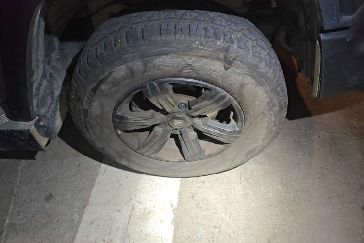 Used Tank 300 2021 Off-Road Edition 2.0T Conqueror