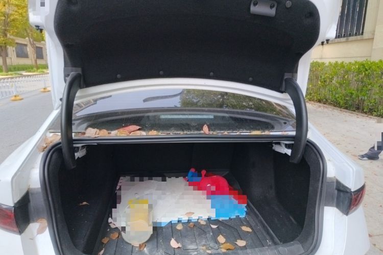 Used BYD Qin PLUS  Trunk