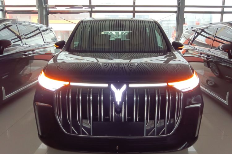 Used VOYAH Dream 2022 Low-Carbon Edition Home
