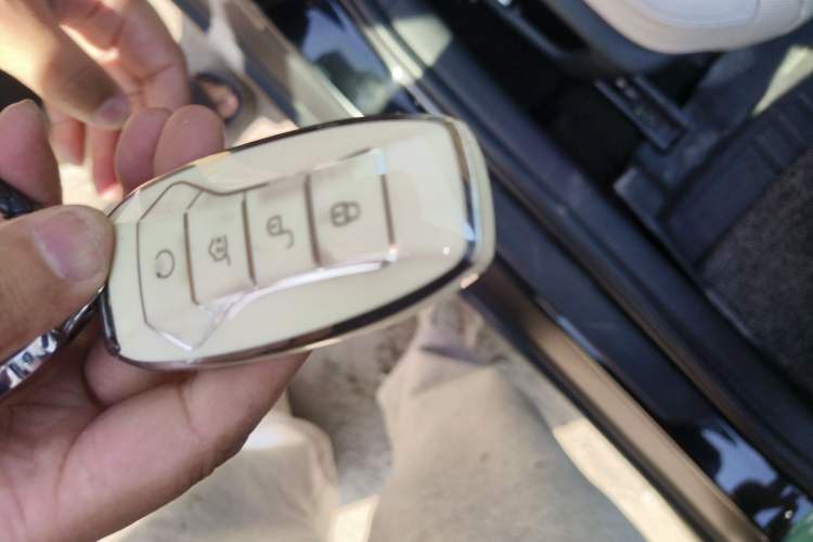 Used BYD e9 2021 Business Edition