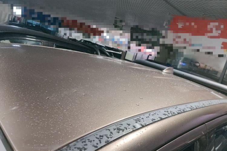 Used Great Wall Poer 2021 2.0T Commercial Version Manual Diesel Two-Wheel Drive Elite Long-Box GW4D20M