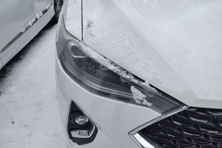 Used Haval F7x 2019 2.0T Two-Wheel Drive Smart & Stylish Play Edition
