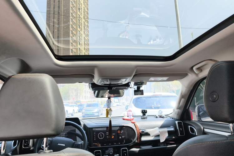 Used Haval DARGO 2021 1.5T DCT Two-Wheel Drive Border Collie Edition