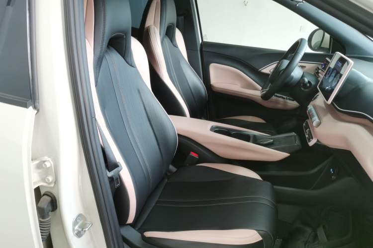 Used BYD Seagull 2025 305 km Free Version Right Front Seat