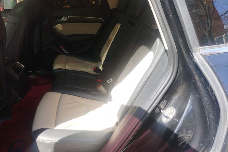 Used Audi Q5 2017 Plus 40 TFSI Ambition Model Left Rear Seat