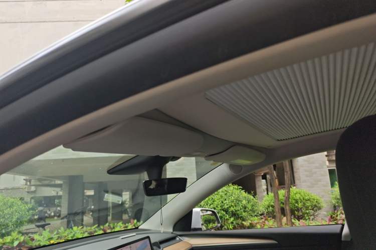 Used Tesla Model Y 2021 Standard Range Rear-Wheel Drive Version Headliner