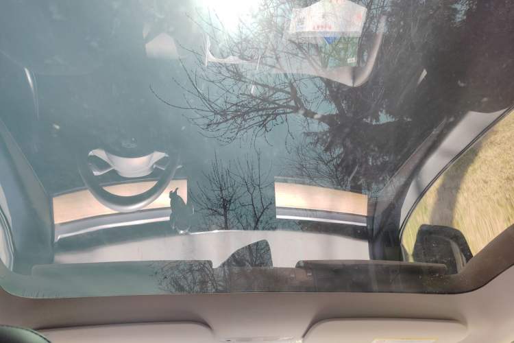 Used Tesla Model Y 2022 Rear-Wheel-Drive Version Headliner