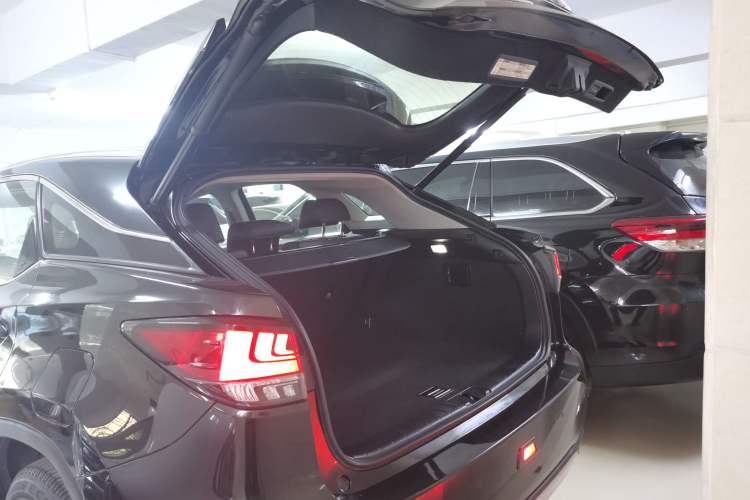 Used Lexus RX 2020 Revised Version 300 Two-Wheel Drive Comfort Edition