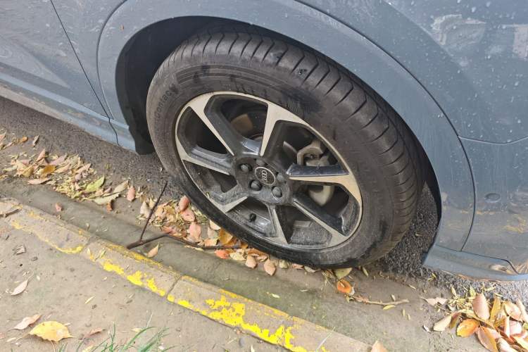 Used Audi Q3 2022 40 TFSI RS Package Performance Model
